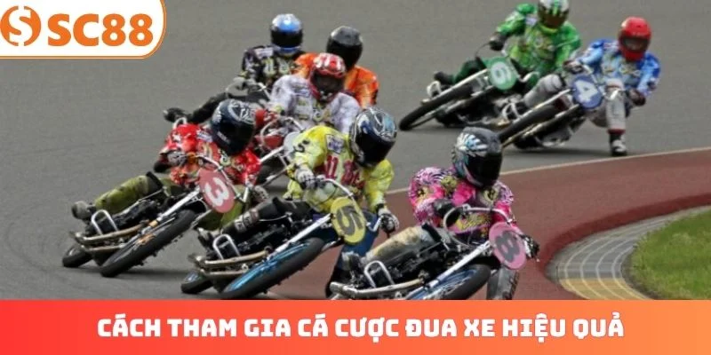 Cách tham gia cá cược đua xe hiệu quả