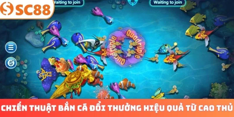 Chiến thuật bắn cá đổi thưởng hiệu quả từ cao thủ