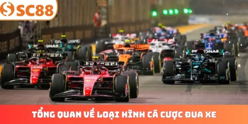 Tổng quan về loại hình cá cược đua xe